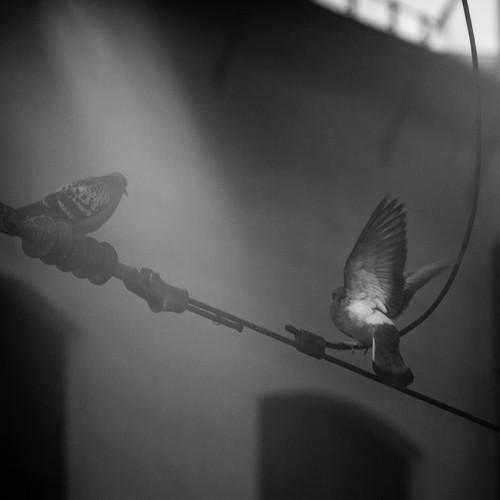 Photo #4317767