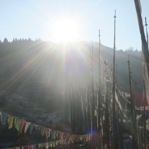 Sun rise