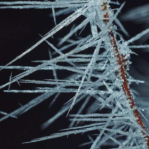 Photo #4317842