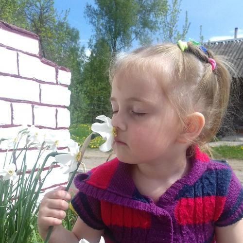 Photo #4318623