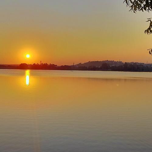 Photo #4319461