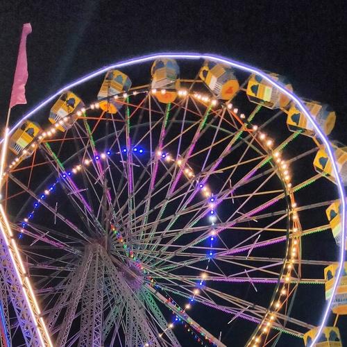 Photo #4319489