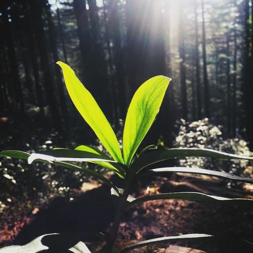 Photo #4320634