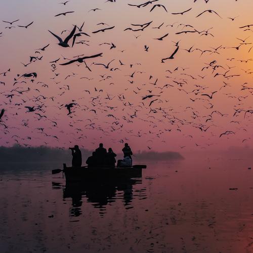Photo #4320636