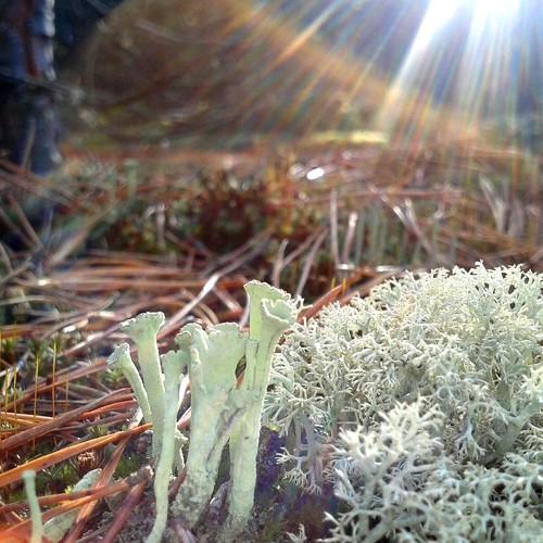 Photo #4320774