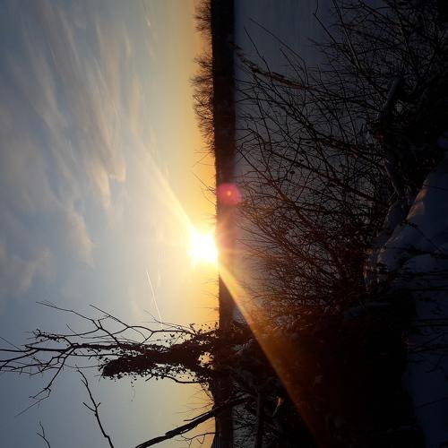 Photo #4321386