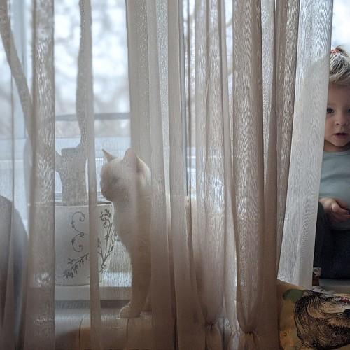 Photo #4321390