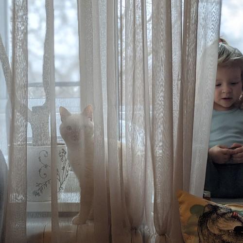 Photo #4321391