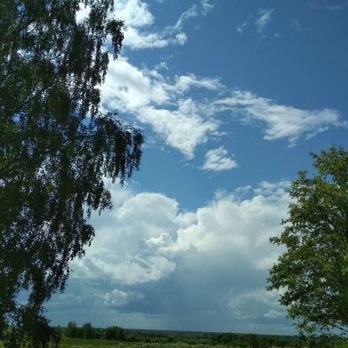 Photo #4321502