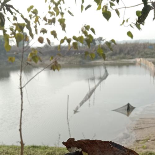 Photo #4321576