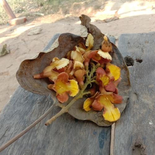 Photo #4321577