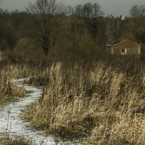 Photo #4321732
