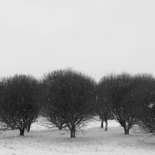 Photo #4322258