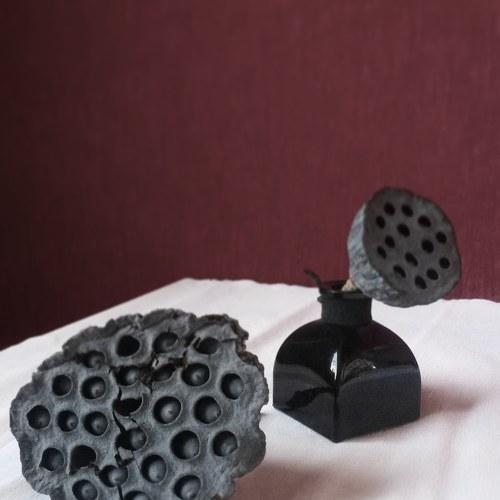 Photo #4322265