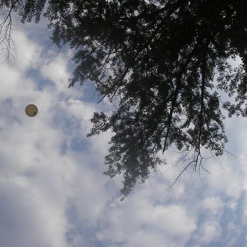 Photo #4322624