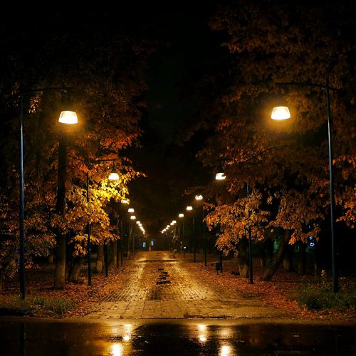 Photo #4322855