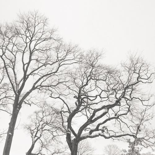 Photo #4322956