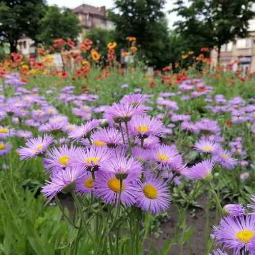 Photo #4323343