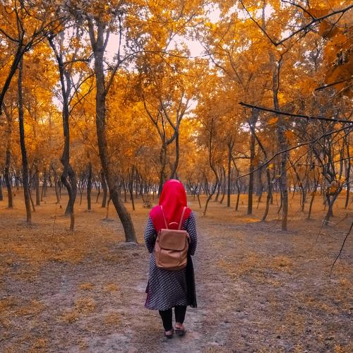 Alone in the forest