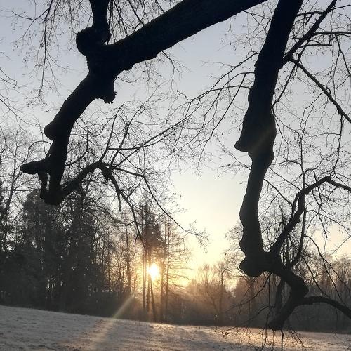Павловск. Утро.