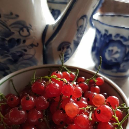 Photo #4323923