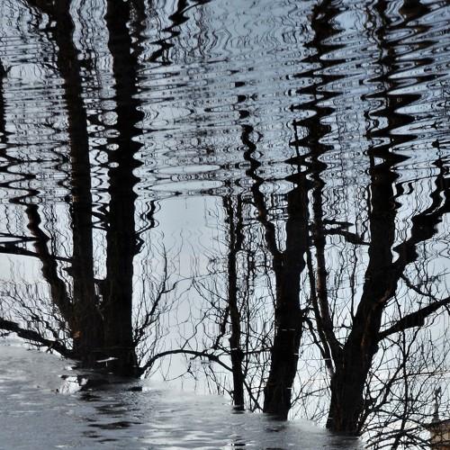Photo #4324090