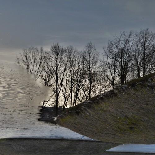 Photo #4324096