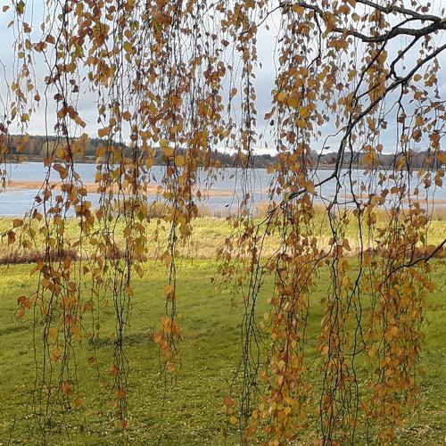 Photo #4324249