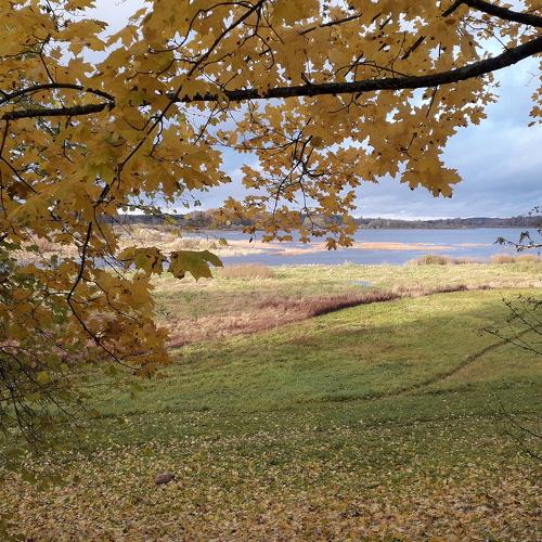 Photo #4324271