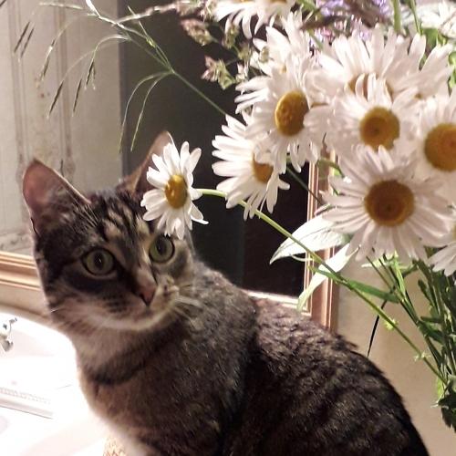 Photo #4324274