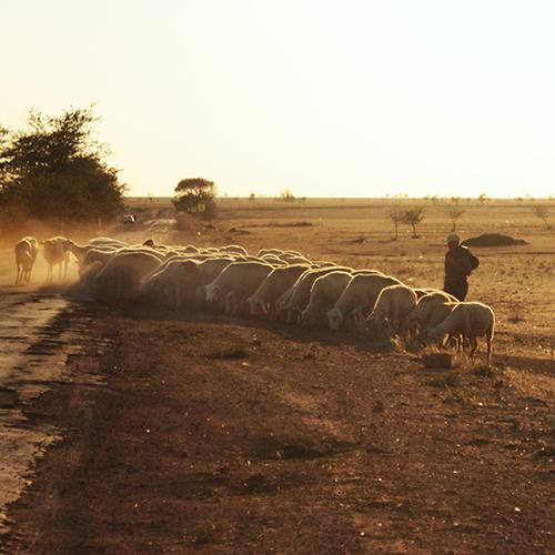 Photo #4324296