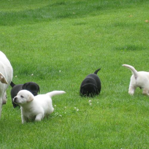 Photo #4324318