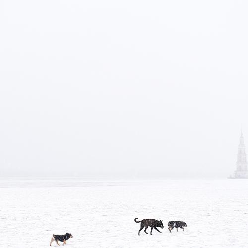 Пустошь