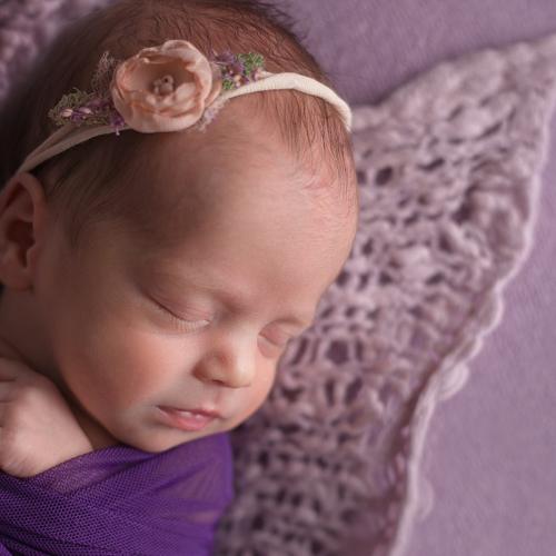 Photo #4324579