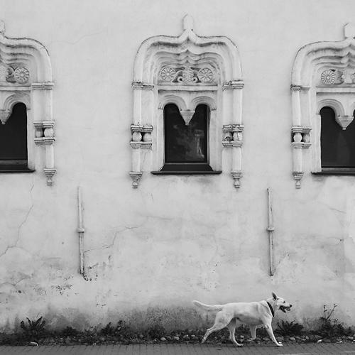 Photo #4324583