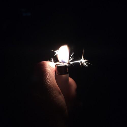 Photo #4324631