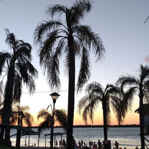 Photo #4325030
