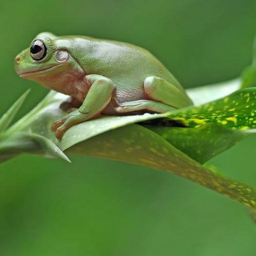 Photo #4325309
