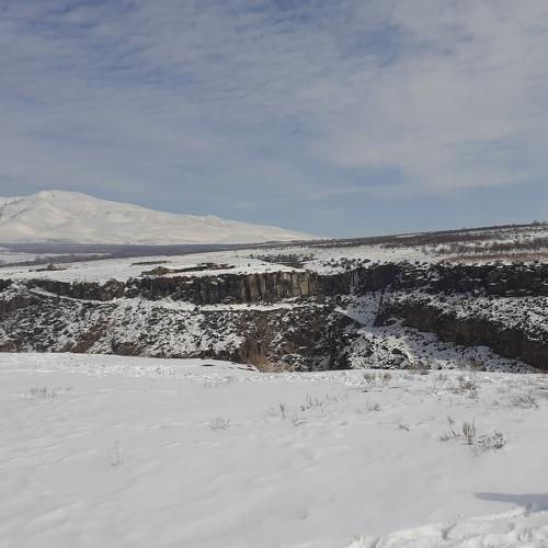 Photo #4325383