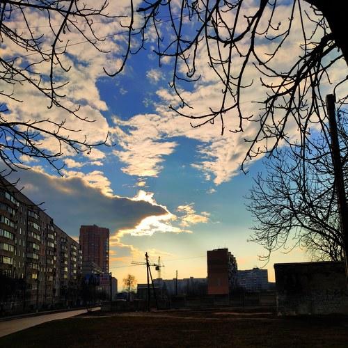 Photo #4325525
