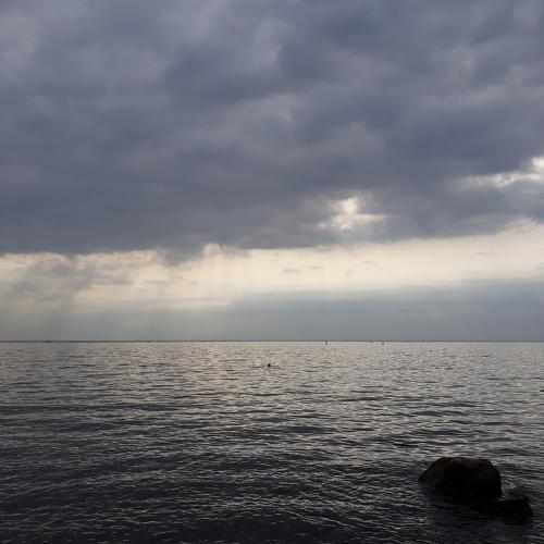 Photo #4325742