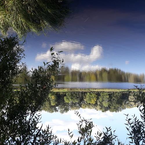Photo #4325743