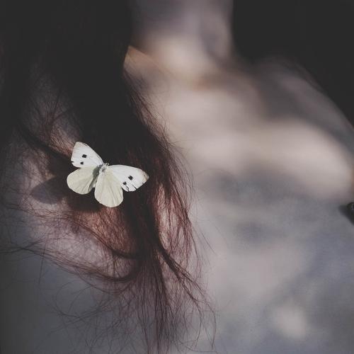 Photo #4325860