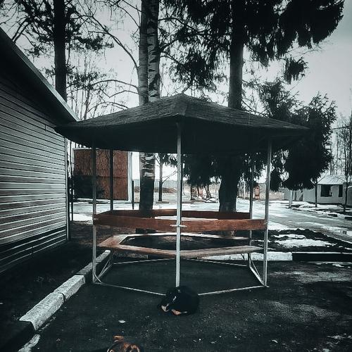 Photo #4326809