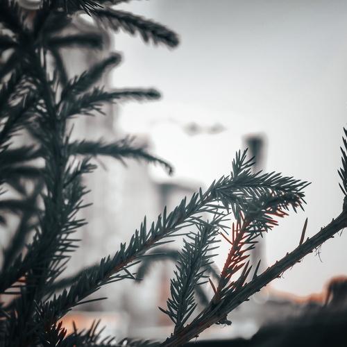 Photo #4326835
