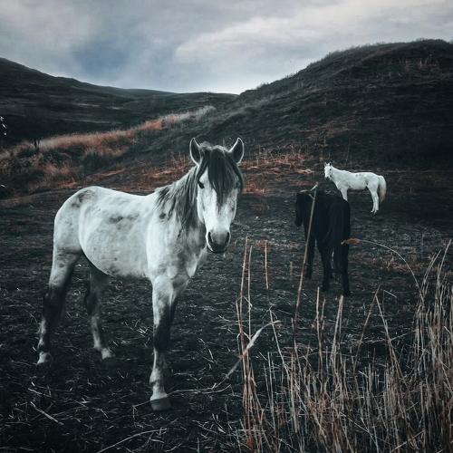 Photo #4326902