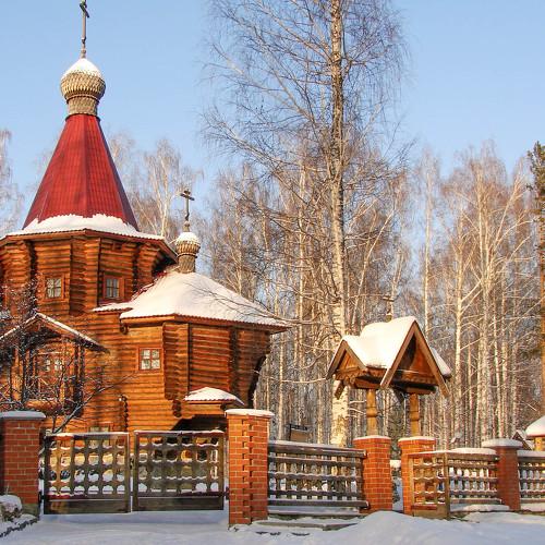 Под снежным покровом