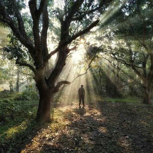 Let there be Light