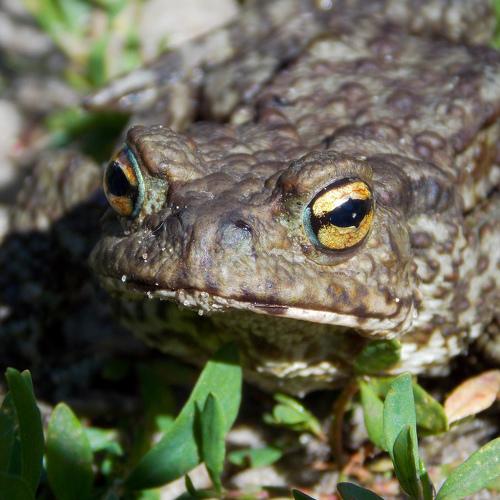 Photo #4327319