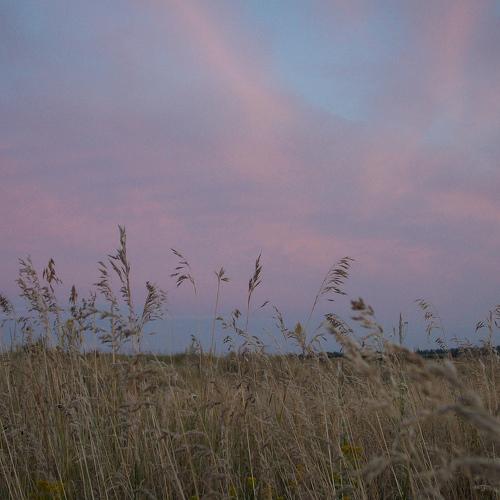 Photo #4327320